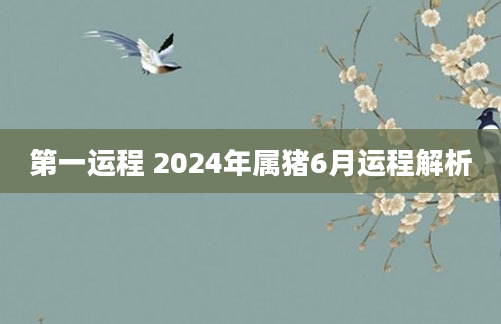 第一运程 2024年属猪6月运程解析