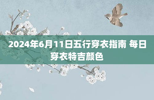 2024年6月11日五行穿衣指南 每日穿衣特吉颜色