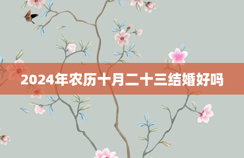 2024年农历十月二十三结婚好吗