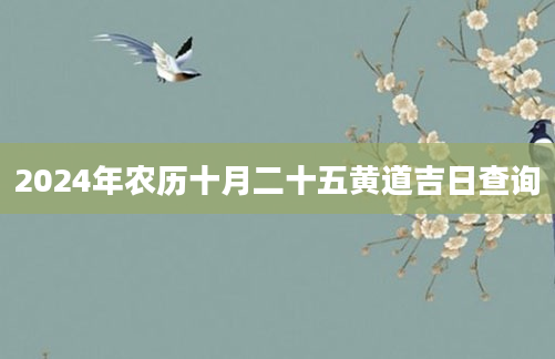 2024年农历十月二十五黄道吉日查询