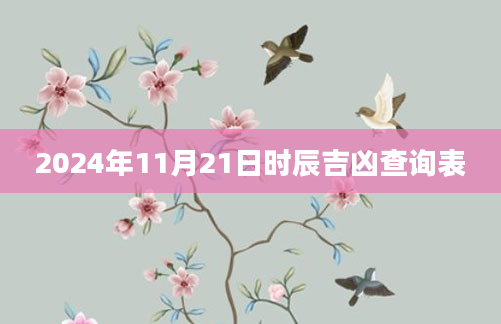 2024年11月21日时辰吉凶查询表