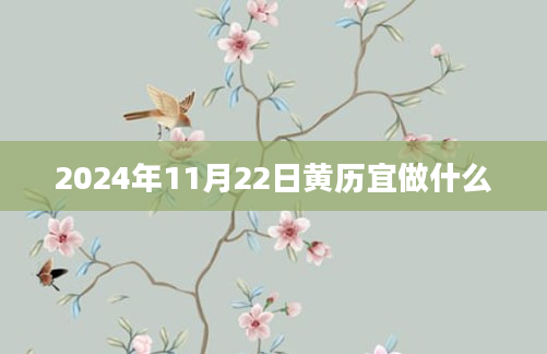 2024年11月22日黄历宜做什么