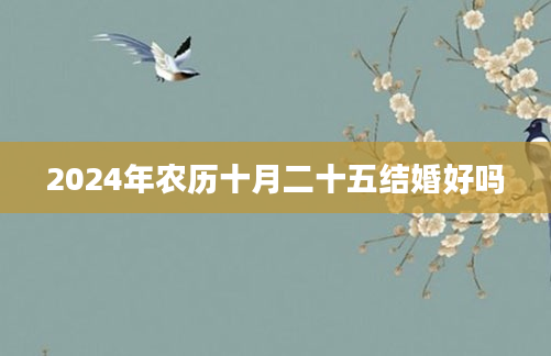 2024年农历十月二十五结婚好吗