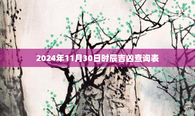 2024年11月30日时辰吉凶查询表