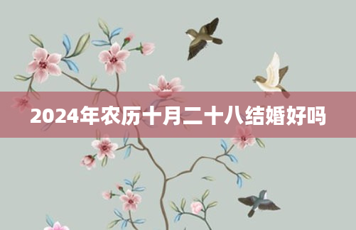 2024年农历十月二十八结婚好吗