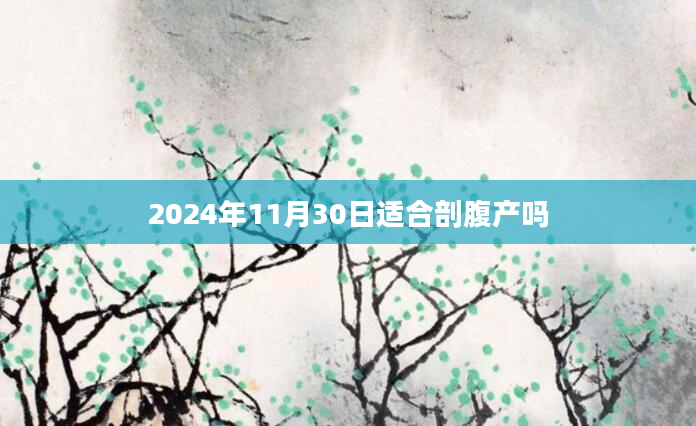2024年11月30日适合剖腹产吗