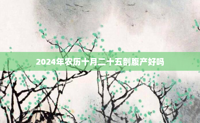 2024年农历十月二十五剖腹产好吗