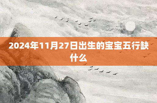 2024年11月27日出生的宝宝五行缺什么