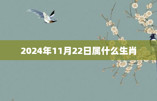 2024年11月22日属什么生肖