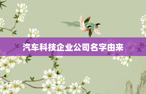 汽车科技企业公司名字由来
