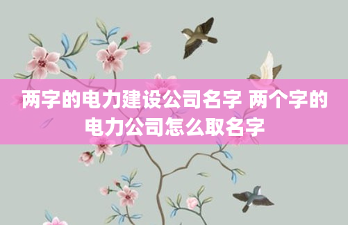 两字的电力建设公司名字 两个字的电力公司怎么取名字
