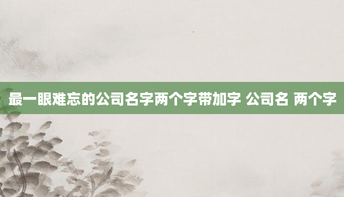 最一眼难忘的公司名字两个字带加字 公司名 两个字