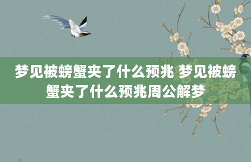 梦见被螃蟹夹了什么预兆 梦见被螃蟹夹了什么预兆周公解梦