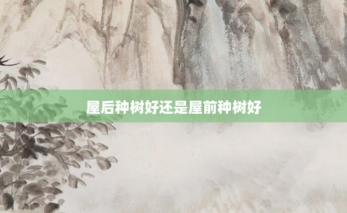 屋后种树好还是屋前种树好