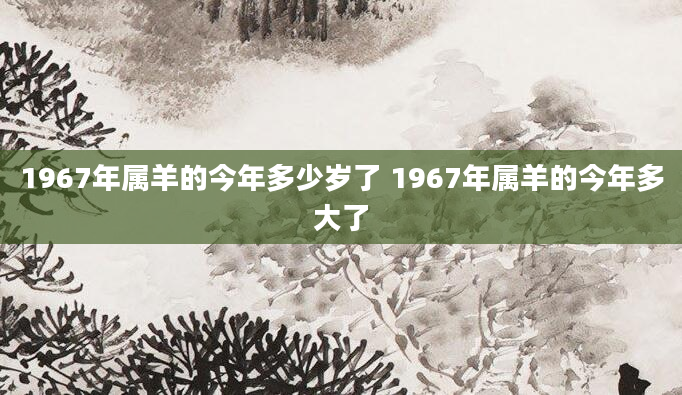 1967年属羊的今年多少岁了 1967年属羊的今年多大了