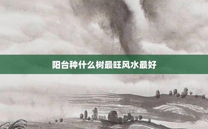 阳台种什么树最旺风水最好