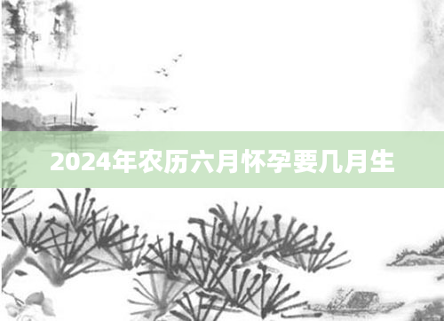 2024年农历六月怀孕要几月生