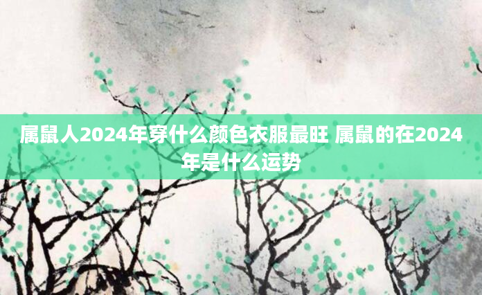 属鼠人2024年穿什么颜色衣服最旺 属鼠的在2024年是什么运势