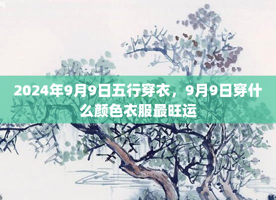 2024年9月9日五行穿衣，9月9日穿什么颜色衣服最旺运