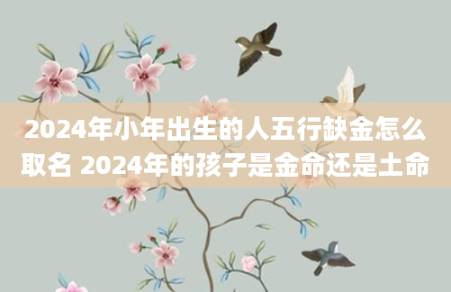 2024年小年出生的人五行缺金怎么取名 2024年的孩子是金命还是土命