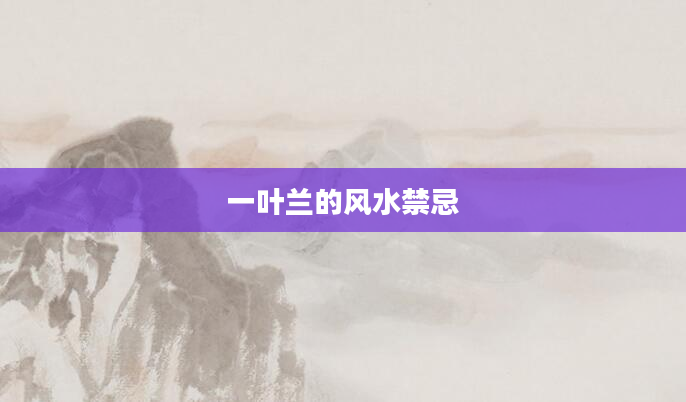 一叶兰的风水禁忌