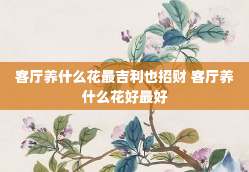 客厅养什么花最吉利也招财 客厅养什么花好最好