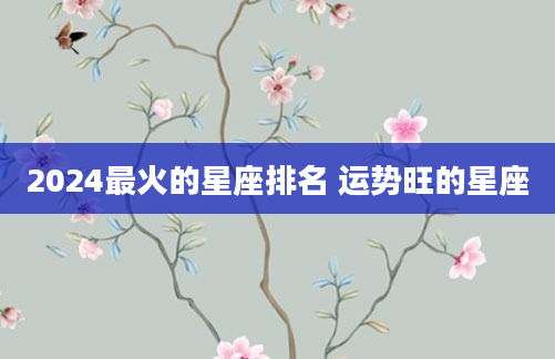 2024最火的星座排名 运势旺的星座