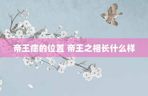 帝王痣的位置 帝王之相长什么样