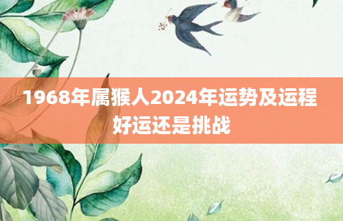 1968年属猴人2024年运势及运程 好运还是挑战