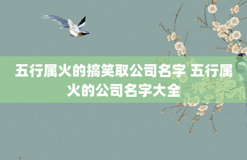 五行属火的搞笑取公司名字 五行属火的公司名字大全