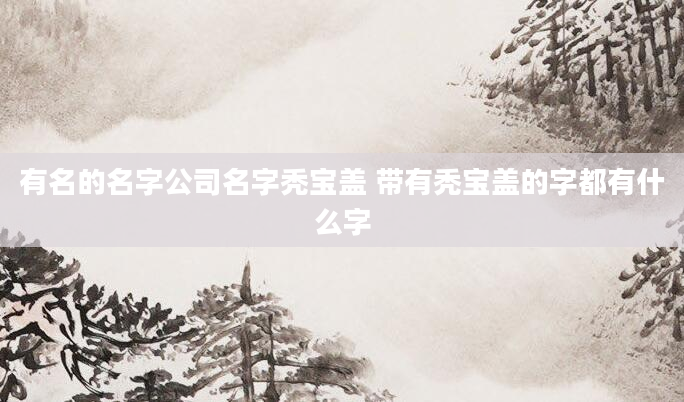 有名的名字公司名字秃宝盖 带有秃宝盖的字都有什么字