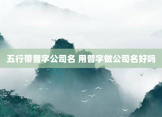 五行带普字公司名 用普字做公司名好吗