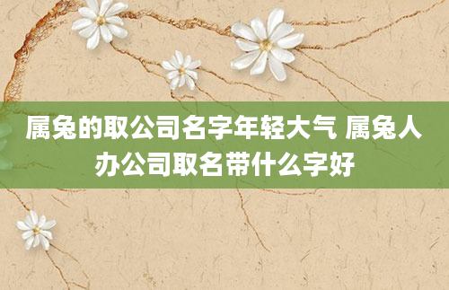 属兔的取公司名字年轻大气 属兔人办公司取名带什么字好