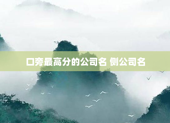 口旁最高分的公司名 侧公司名