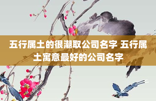 五行属土的很潮取公司名字 五行属土寓意最好的公司名字
