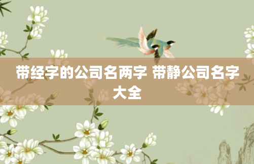 带经字的公司名两字 带静公司名字大全