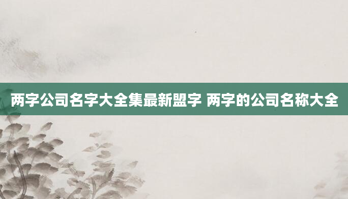两字公司名字大全集最新盟字 两字的公司名称大全
