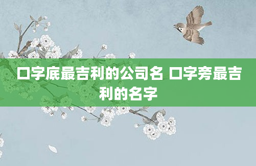 口字底最吉利的公司名 口字旁最吉利的名字