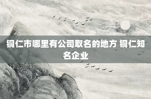 铜仁市哪里有公司取名的地方 铜仁知名企业