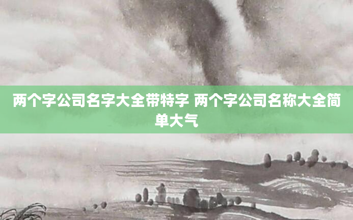 两个字公司名字大全带特字 两个字公司名称大全简单大气
