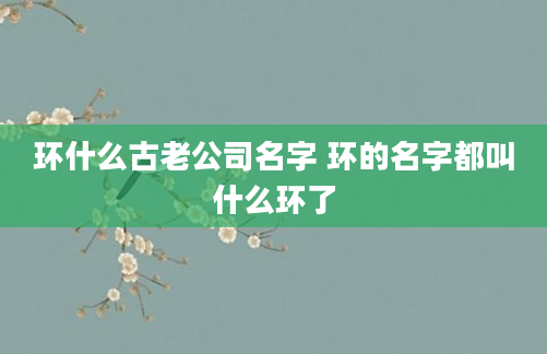环什么古老公司名字 环的名字都叫什么环了
