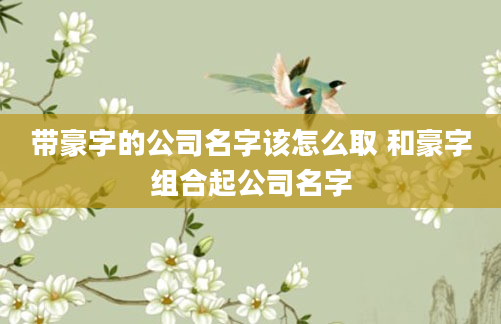 带豪字的公司名字该怎么取 和豪字组合起公司名字