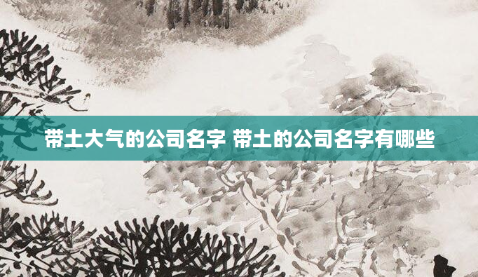 带土大气的公司名字 带土的公司名字有哪些