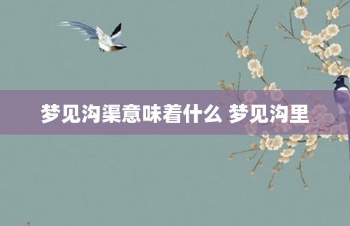 梦见沟渠意味着什么 梦见沟里