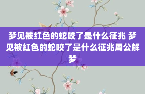梦见被红色的蛇咬了是什么征兆 梦见被红色的蛇咬了是什么征兆周公解梦