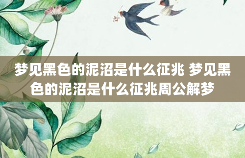 梦见黑色的泥沼是什么征兆 梦见黑色的泥沼是什么征兆周公解梦