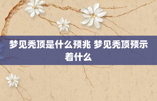 梦见秃顶是什么预兆 梦见秃顶预示着什么