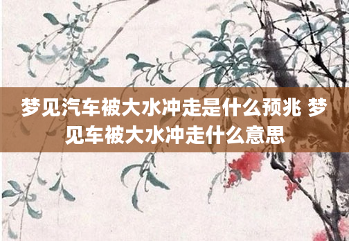 梦见汽车被大水冲走是什么预兆 梦见车被大水冲走什么意思