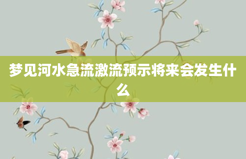 梦见河水急流激流预示将来会发生什么