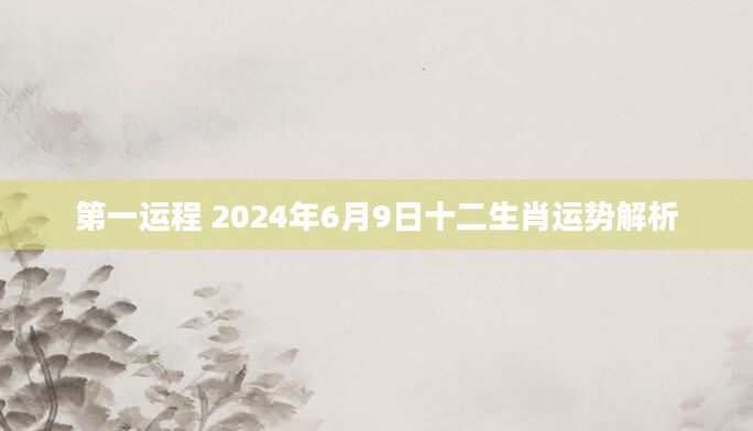 第一运程 2024年6月9日十二生肖运势解析
